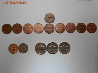 ВОТ ТАКАЯ ГАЛЕРЕЯ, ЧАСТЬ ИЗ КОТОРОЙ ПРИШЛОСЬ ПОМЫТЬ И ТАКУЮ-ЖЕ УТИЛИЗИРОВАТЬ, Т.К ПОД ПОЛОМ СЫРО. - DSCN6485.JPG