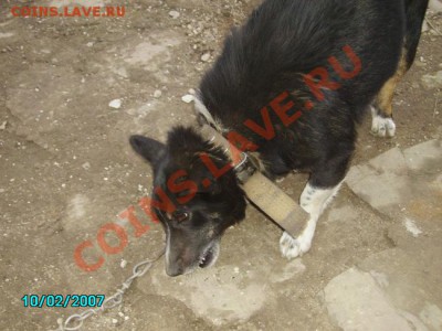 Угадайка - PICT0587.JPG