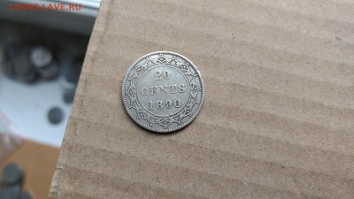 Ньюфаундленд 20 центов 1890 до 22-00 07.07 - IMG_20170706_160839309