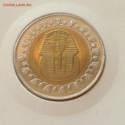 50 пиастров , 1 фунт 2008г. Египет , до 13.07.17г. - египет-1