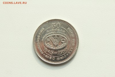  22:00 - IMG_0518.JPG