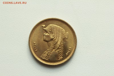  22:00 - IMG_0524.JPG