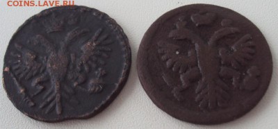 Денга 1731,1735 гг. - DSC01229.JPG