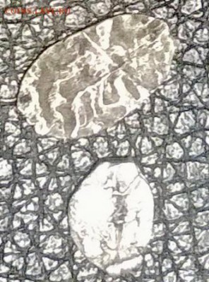 Две чешуйки - WP_20170709_005