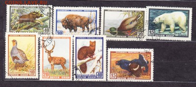 СССР 1957 фауна - 58