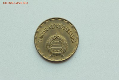  22:00 - IMG_1073.JPG