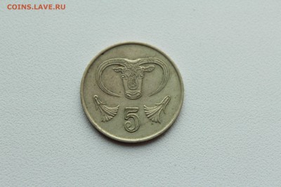  22:00 - IMG_1086.JPG