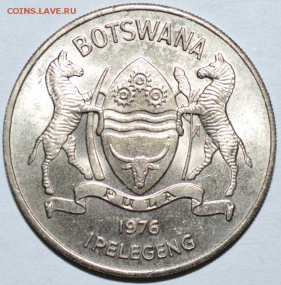 Ботсвана 50 Тебе 1976г. с 100р. до 13.07.17г 22:00 МСК - DSC_0002.JPG
