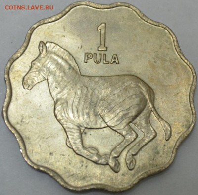 Ботсвана 1 Пула 1976г. с 100р. до 13.07.17г 22:00 МСК - DSC_0003.JPG