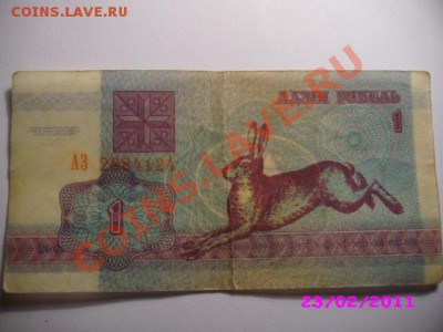 белорусский зайчик - IMG_8290.JPG