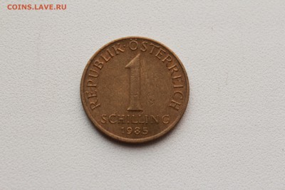  22:00 - IMG_1117.JPG