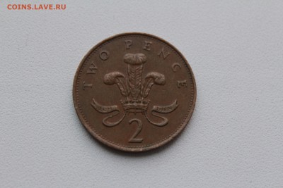  22:00 - IMG_1131.JPG