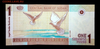 Судан 1 фунт 2006 unc до 17.07.17. 22:00 мск - 1