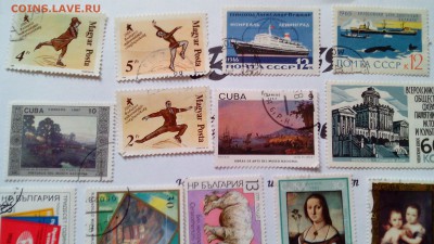 Прошу дать оценку маркам(солянка) - IMG_20170711_154427