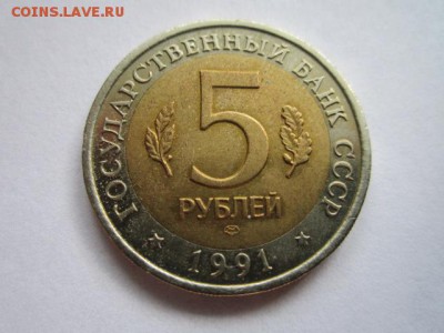 кк 1991 Козел до 15.07.2017 в 22:30 - IMG_4664.JPG