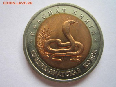 кк 1992 Кобра до 15.07.2017 в 22:30 - IMG_4659.JPG