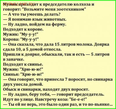 юмор - image
