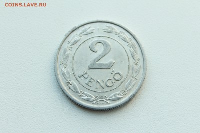  23:00 - IMG_1280.JPG