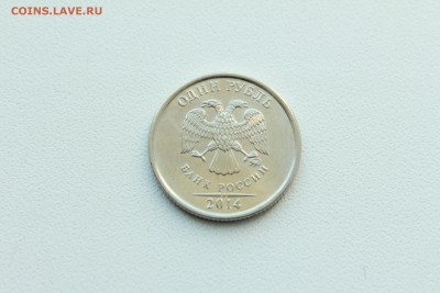  23:00 - IMG_1287.JPG