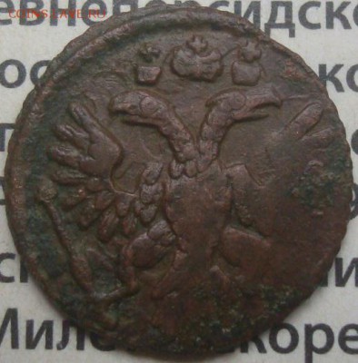 Полушка 1735. Холостое соударение шт.? - DSC02997.JPG