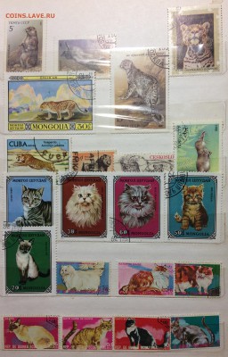 Оцените Большую коллекцию марок - IMG_3880.JPG