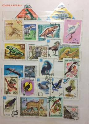 Оцените Большую коллекцию марок - IMG_3889.JPG