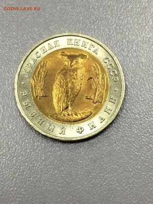 КРАСНАЯ КНИГА 1991-1994. 15 МОНЕТ до 17.07.2017 - IMG_0813.JPG