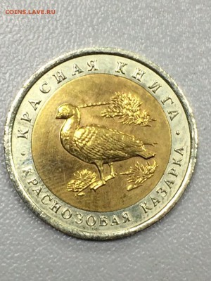 КРАСНАЯ КНИГА 1991-1994. 15 МОНЕТ до 17.07.2017 - IMG_0785.JPG