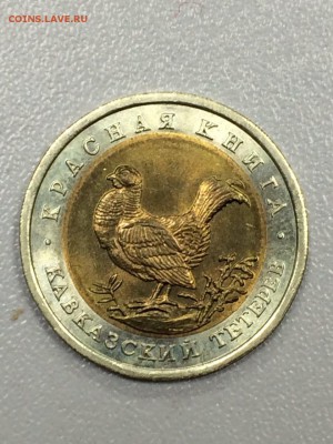 КРАСНАЯ КНИГА 1991-1994. 15 МОНЕТ до 17.07.2017 - IMG_0799.JPG