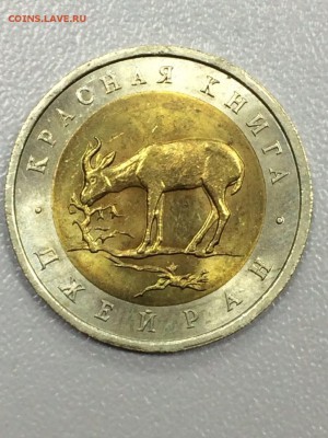 КРАСНАЯ КНИГА 1991-1994. 15 МОНЕТ до 17.07.2017 - IMG_0807.JPG