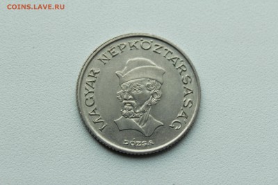  23:00 - IMG_1330.JPG