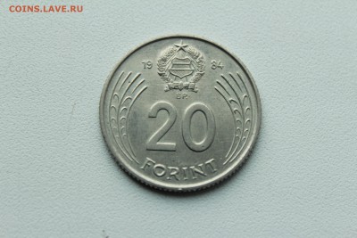  23:00 - IMG_1329.JPG
