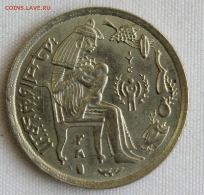 С 1 РУБ.ФАО ЕГИПЕТ 5 PIASTRES  1979г. МАТЬ и ДИТЁ до 20.07 - IMG_7816.JPG