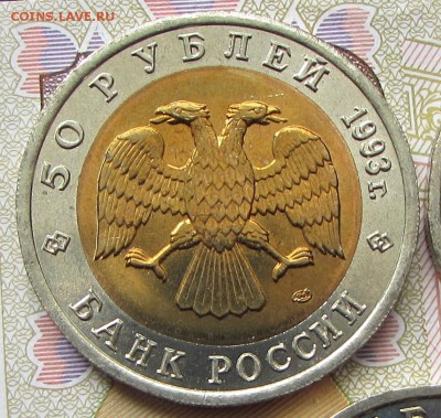 КК Черноморская Афалина 50 р. 1993 г. до 18.07.17 г. 21:00 - IMG_5041.JPG