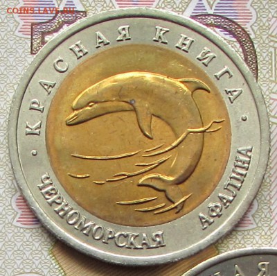 КК Черноморская Афалина 50 р. 1993 г. до 18.07.17 г. 21:00 - IMG_5027.JPG