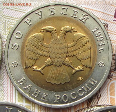 КК Дальневосточный Аист 50 р. 1993 г. до 18.07.17 г. 21:00 - IMG_5044.JPG