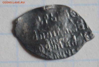определение чешуйки - DSC_3877.JPG