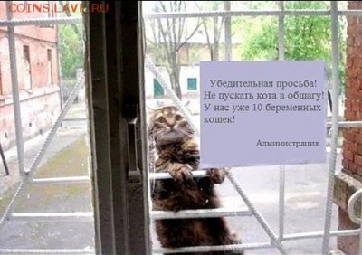 юмор - 8073216