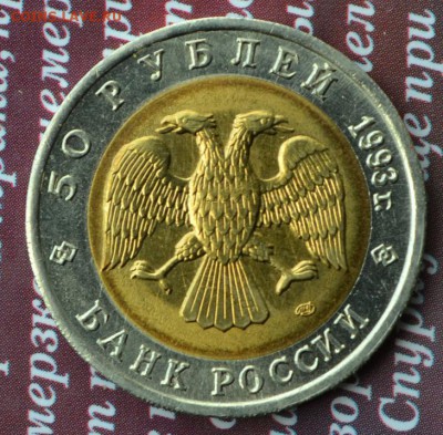 КК 1993 Туркменский эублефар до 20.07 в 22:25 - эублефар р