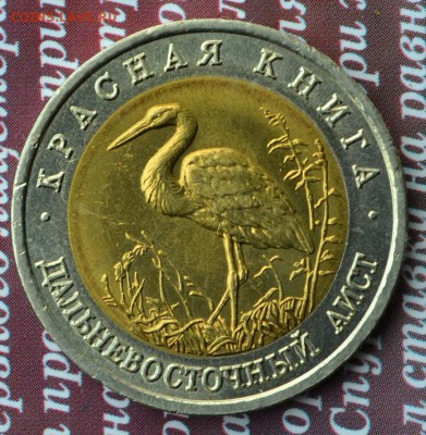 КК 1993 Дальневосточный аист до 20.07 в 22:35 - аист а