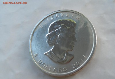 5 долларов Канады 2011 г. - Медведь до 21.07.2017 г. - 20170716_164112