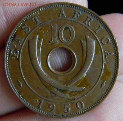 10 центов вост. африка 1950 - DSCN0856.JPG
