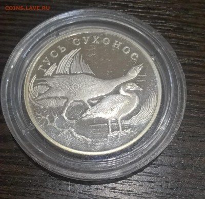 1 рубль. Гусь сухонос 2006г. до 21.07.17 22:00 - WP_20170717_20_49_44_Pro