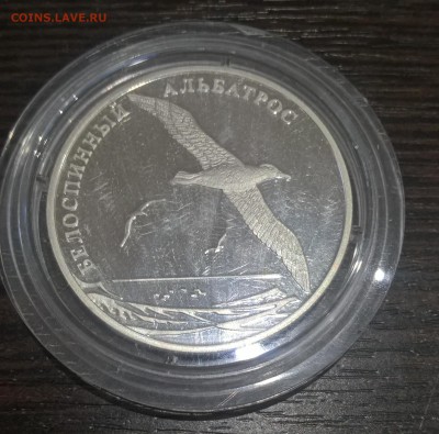 2 рубля. Белоспинный альбатрос 2010г. до 21.07.17 22:00 - WP_20170717_20_50_01_Pro