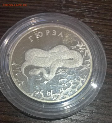 2 рубля. Гюрза 2010г до 21.07.17 22:00 - WP_20170717_20_50_29_Pro