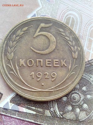 5коп 1929 ХОРОШАЯ до 20.07.17 в 22.00 - 5-29-1