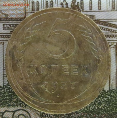 5 копеек 1927, 1935 (с), и 1937 гг. (оценка) - IMG_8572.JPG