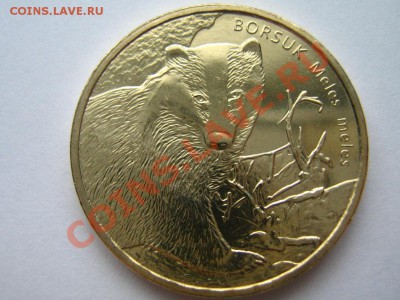 Польша 2 злоты Барсук 2011г. до 28.02 в 21-00 - Изображение 060