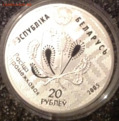 Сова Белорусь 2005г.20 рублей до 23.7 в 22.00 - IMG_8813.JPG