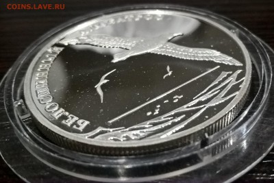 2 рубля. Белоспинный альбатрос 2010г. до 21.07.17 22:00 - WP_20170719_00_35_52_Pro
